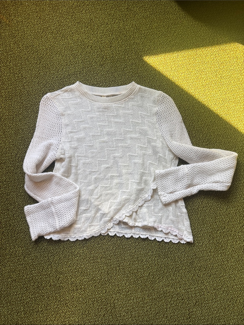 Free People Knit Long Sleeve Crop Top SZ M